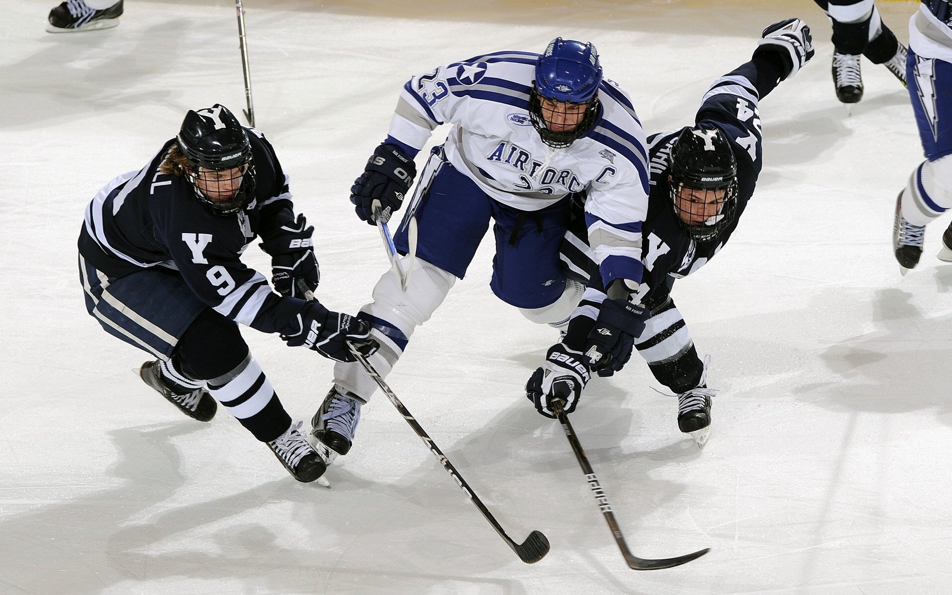 失利分析：哪些因素导致失败？，什么是失利