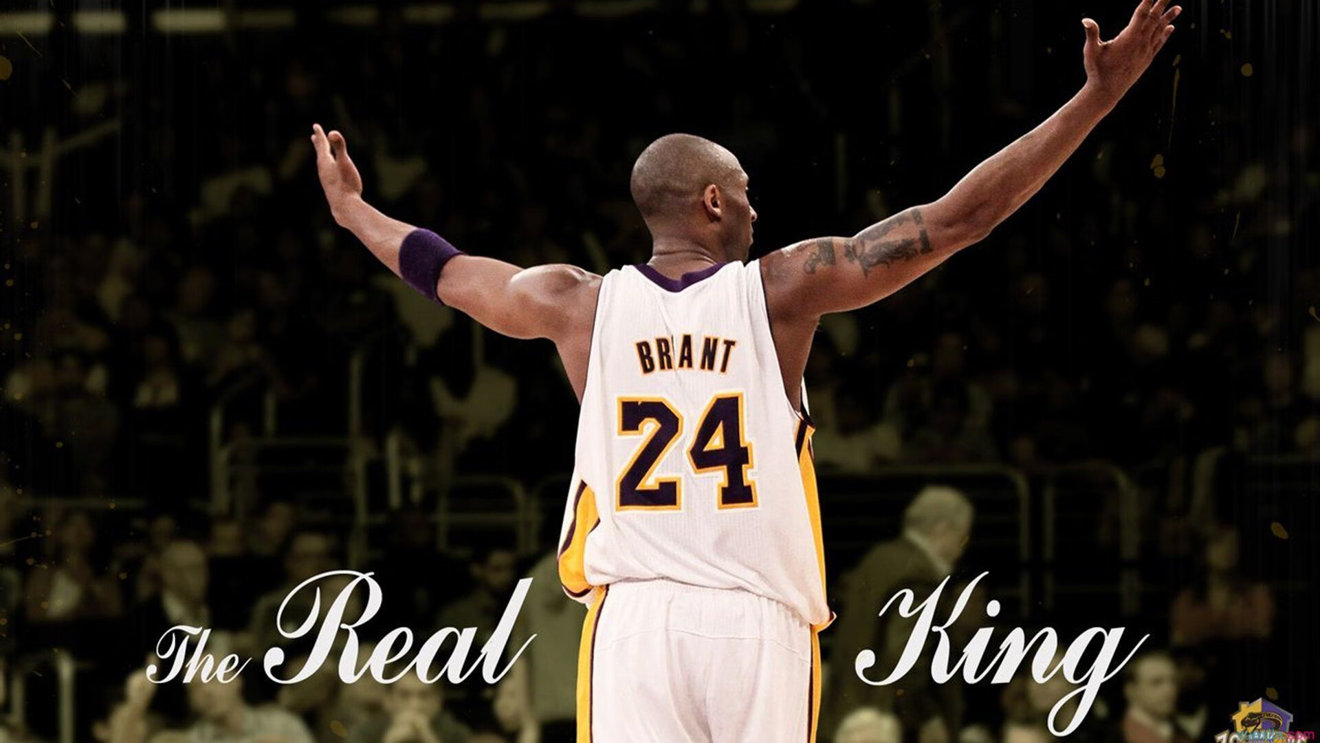 英雄联盟校园赛火热进行中，校园电竞热潮不断，校园电竞联盟比赛视频